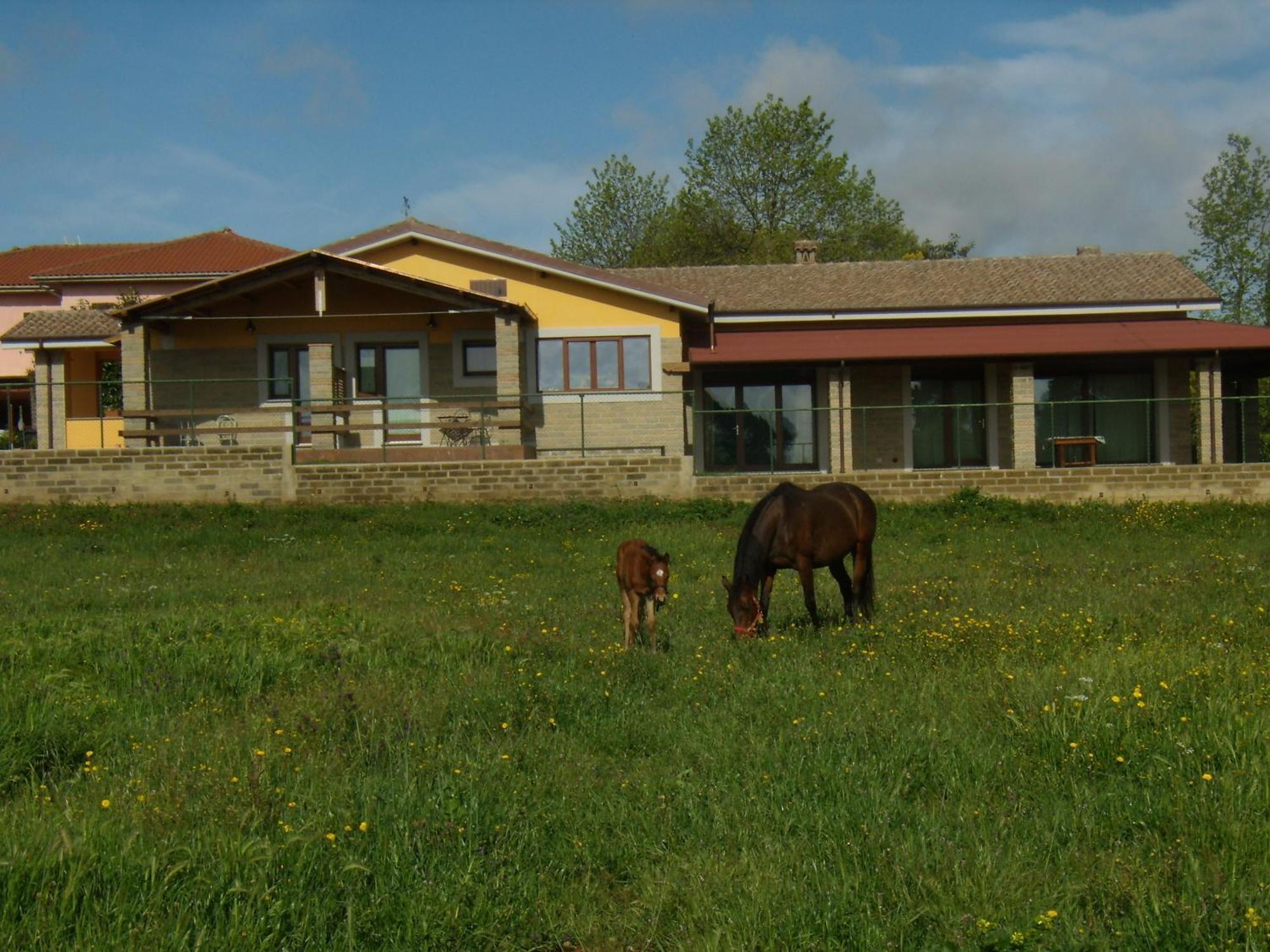 Agriturismo L.B.Stud Bracciano  Exterior photo